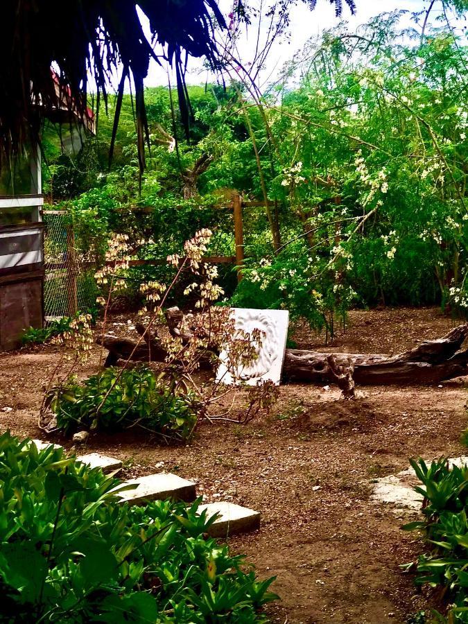 Moringa Ingadi Villa Трежър Бийч Екстериор снимка